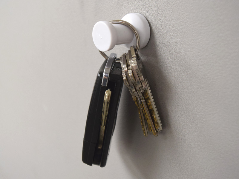 Magnetic thumbtacks being used as a key holder