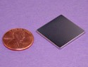 BEE1