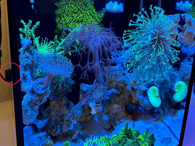 Plastic coated magnets holding reef up in aquarium #2