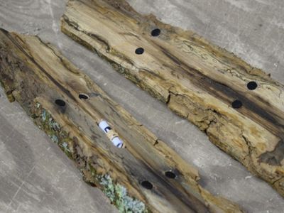 Magnetic geocache hidden inside of log