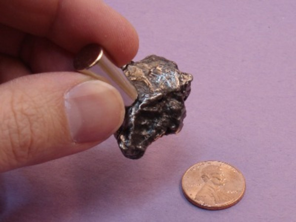 Magnet sticking to a meteorite that is magnetic