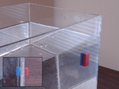 Plastic colored magnets attracting to each other through aquarium glass