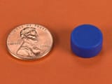 1-2-x-1-4-inch-blue-neodymium-rare-earth-plastic-coated-disc-magnet-n42-pn-d84pc-blu--1