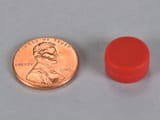 1-2-x-1-4-inch-red-neodymium-rare-earth-plastic-coated-disc-magnet-n42-pn-d84pc-red--1
