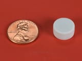 1-2-x-1-4-inch-white-neodymium-rare-earth-plastic-coated-disc-magnet-n42-pn-d84pc-wht--1