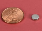 1-4-x-1-16-inch-neodymium-rare-earth-disc-magnet-n42-pn-d41--1