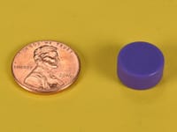 d84pc-pur-neodymium-plastic-coated-disc-magnet