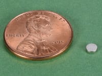 d201-neodymium-disc-magnet