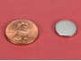1-2-x-1-16-inch-neodymium-rare-earth-disc-magnet-n52-pn-d81-n52--thumbnail-1