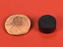 1-2-x-1-4-inch-neodymium-rare-earth-plastic-coated-disc-magnet-n42-pn-d84pc-blk--thumbnail-1