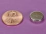 1-2-x-1-8-inch-neodymium-rare-earth-high-temp-disc-magnet-n42sh-pn-d82sh--thumbnail-1