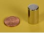 1-2-x-7-8-inch-neodymium-rare-earth-cylinder-rod-magnet-n42-pn-d8e--thumbnail-1