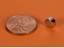 1-4-x-1-8-inch-neodymium-rare-earth-diametric-disc-magnet-n42-pn-d42dia--thumbnail-1