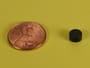 1-4-x-1-8-inch-neodymium-rare-earth-epoxy-coated-disc-magnet-n42-pn-d42e--thumbnail-1