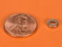 1-4-x-1-8-x-1-16-inch-neodymium-rare-earth-ring-magnet-n42-pn-r421--thumbnail-1