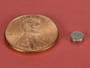 3-16-x-1-16-inch-neodymium-rare-earth-disc-magnet-n42-pn-d31--thumbnail-1
