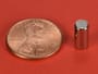 3-16-x-3-8-inch-neodymium-rare-earth-cylinder-rod-magnet-n42-pn-d36--thumbnail-1