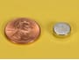 3-8-x-1-8-inch-neodymium-rare-earth-disc-magnet-n52-pn-d62-n52--thumbnail-1